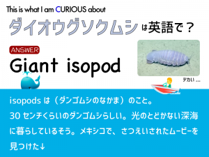 I Am Curious こどものための語楽教室パドルビー