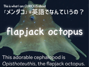 I Am Curious こどものための語楽教室パドルビー I Am Curious こどものための語楽教室パドルビー