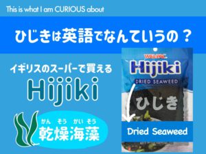 9 畳 たたみ は英語でなんていうの こどものための語楽教室パドルビー